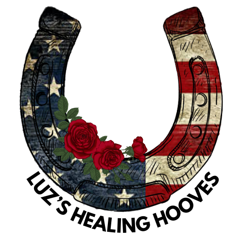 1st Annual Witch and Wedge Luz’s Healing Hooves Tournament