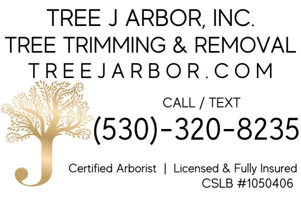 Tree J Arbor
