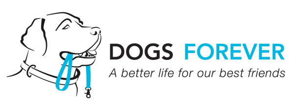 Dogs Forever Indoor Golf Fundraiser