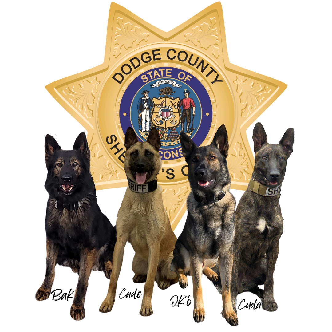 Dodge County Sheriff Annual K9 Golf Outing