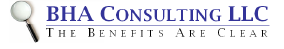 BHA Consulting LLC