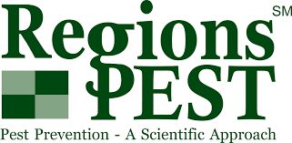 Regions Pest