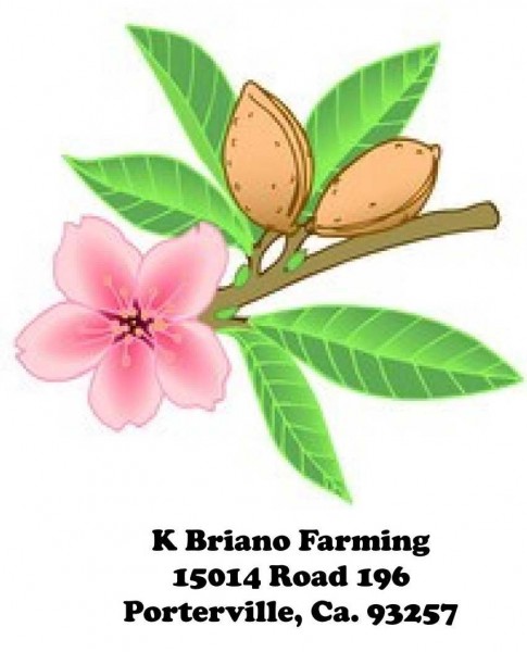 K Briano Farming