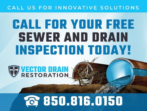 Vector Drain Restoration