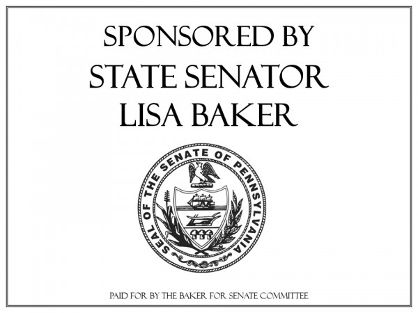 State Senator Lisa Baker
