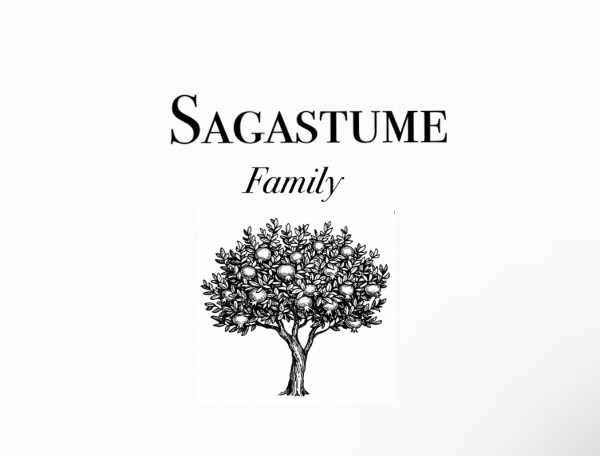 Sagastume Family