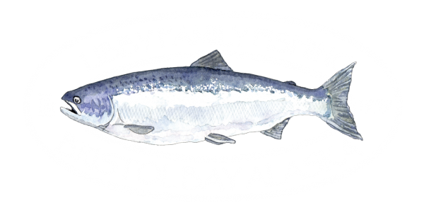 Libby Family Fishing