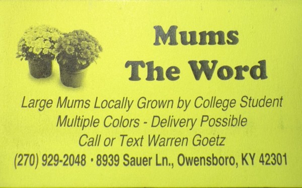 Mums The Word