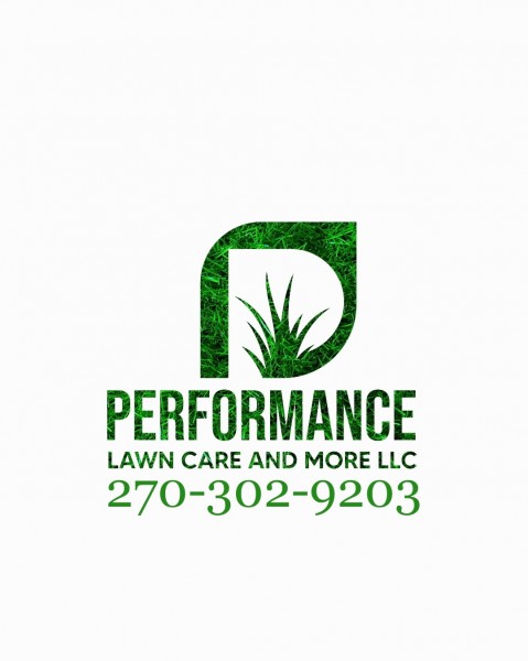 Performace Lawn Care & Mofe LLC