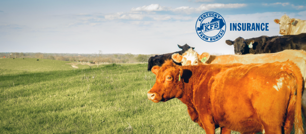 Kentucky Farm Bureau North Agency Chri Hoskins