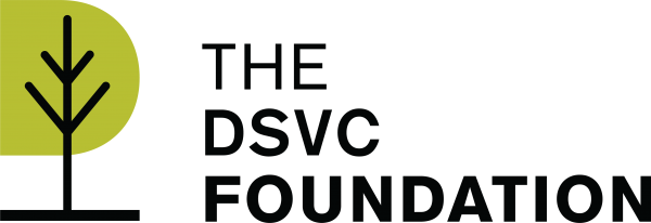 DSVC Foundation