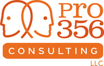 Pro 356 Consulting
