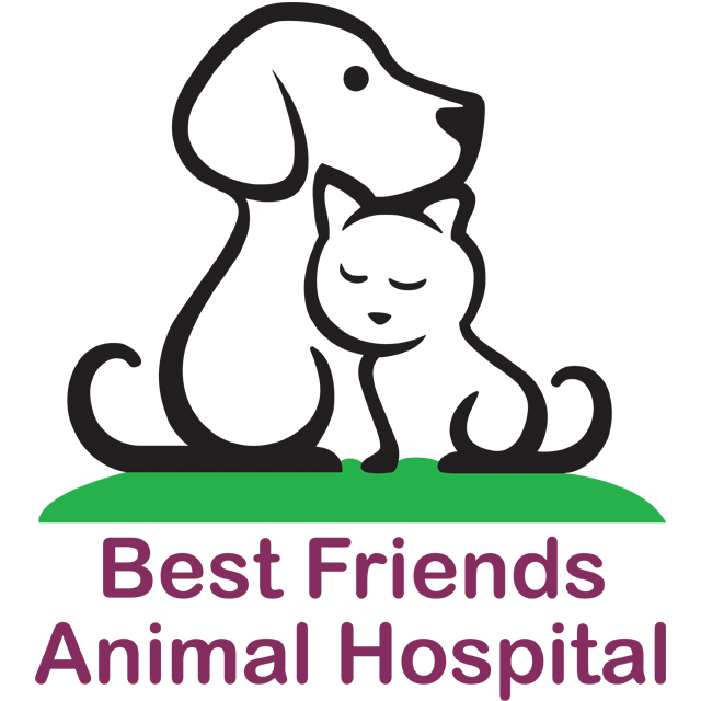 Best Friends Animal Hospital