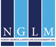 NGLM
