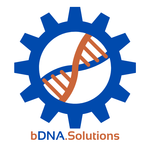 bDNA Solutions