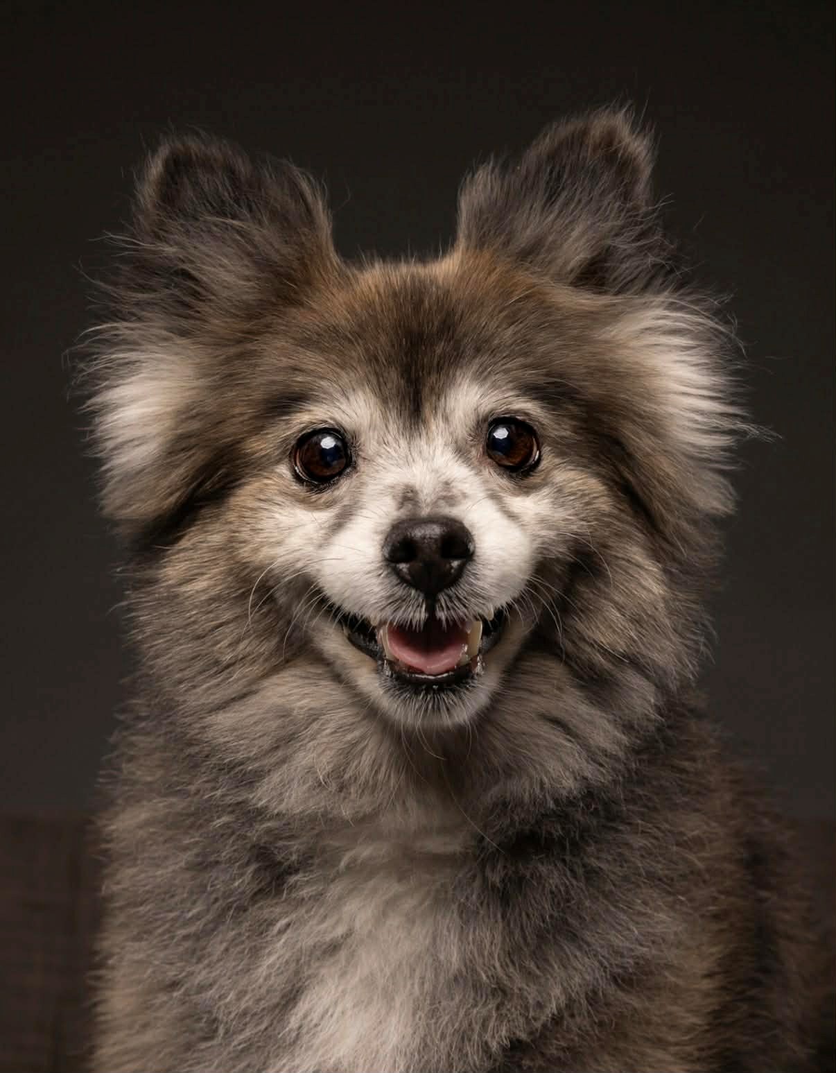 Tampa Bay Pom Mom