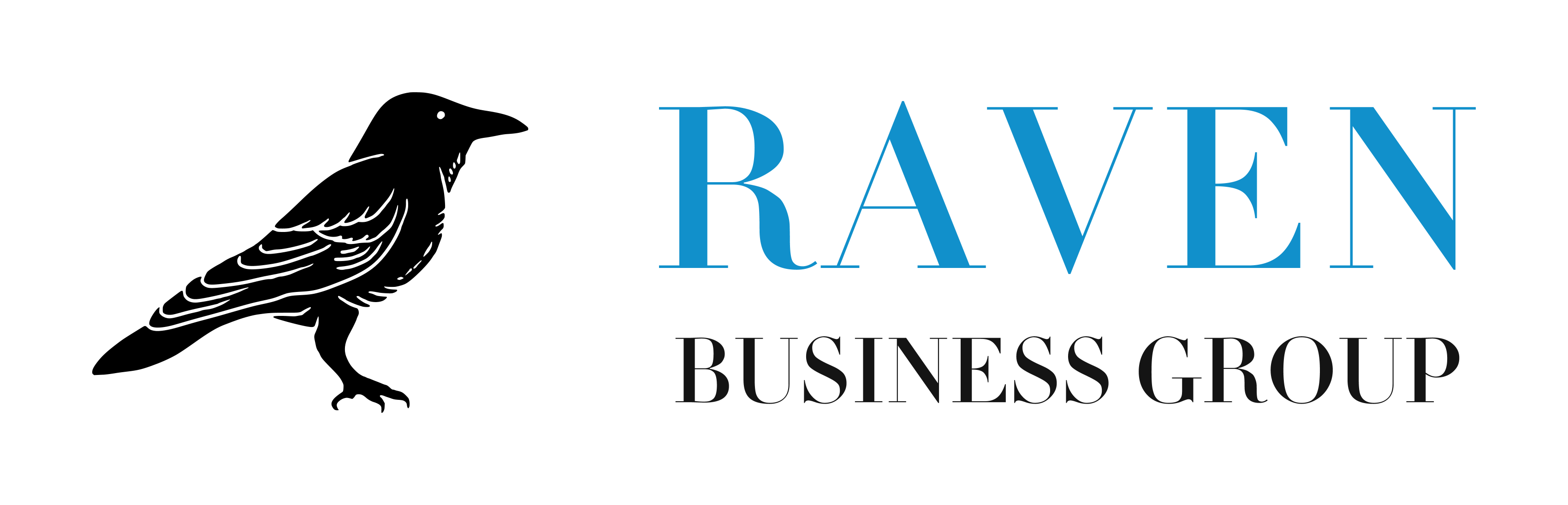 Raven Business Group, Inc