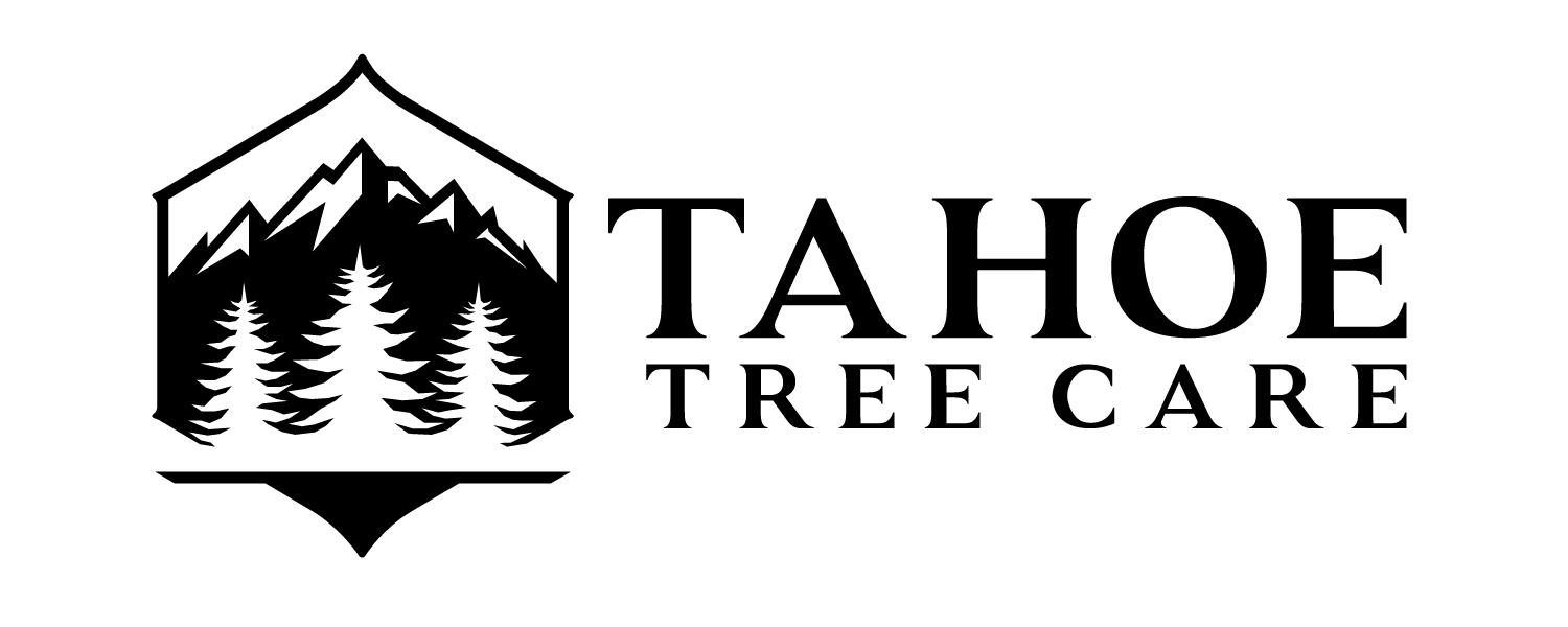 Tahoe Tree Care