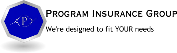 Program Insurance Group